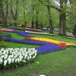100_2539.JPG