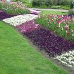 100_2495.JPG