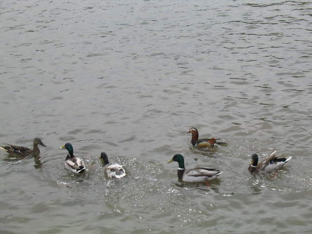 aldenham 045.jpg