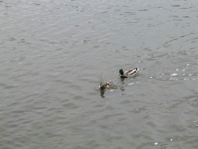 aldenham 046.jpg