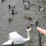 aldenham 048.jpg