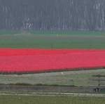 100_2333.JPG