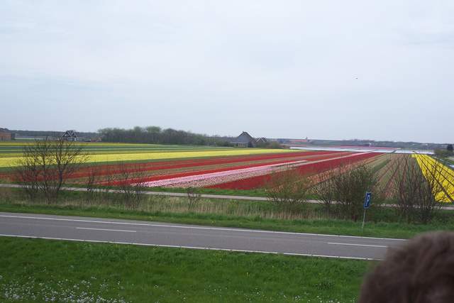 100_2338.JPG