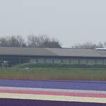 100_2372.JPG