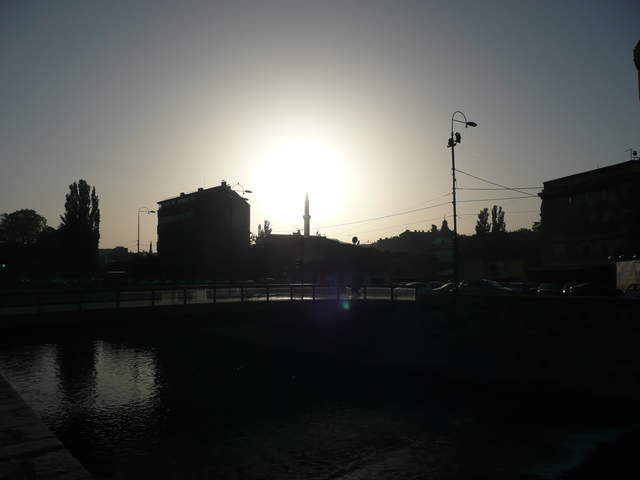 P1010229.JPG