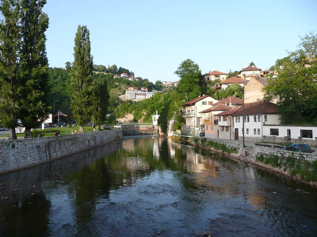 P1010230.JPG