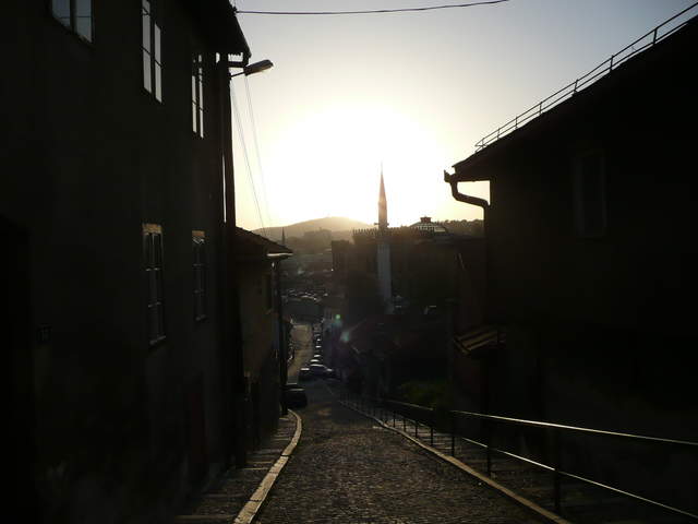 P1010231.JPG