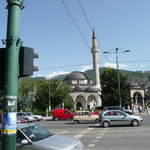 P1010224.JPG