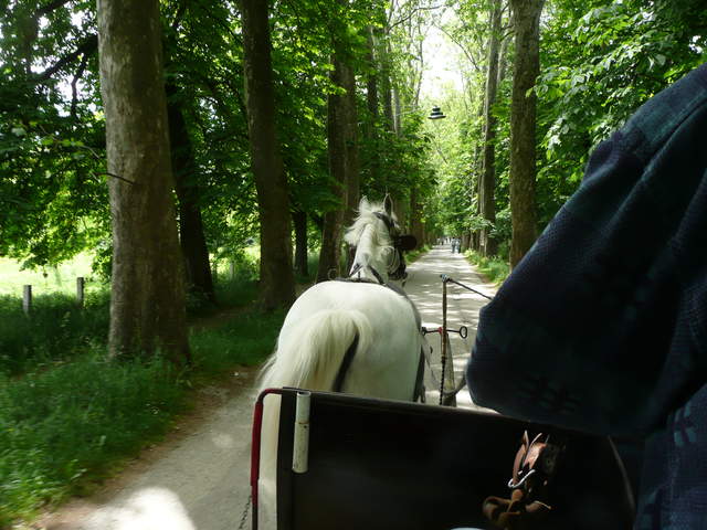P1010285.JPG