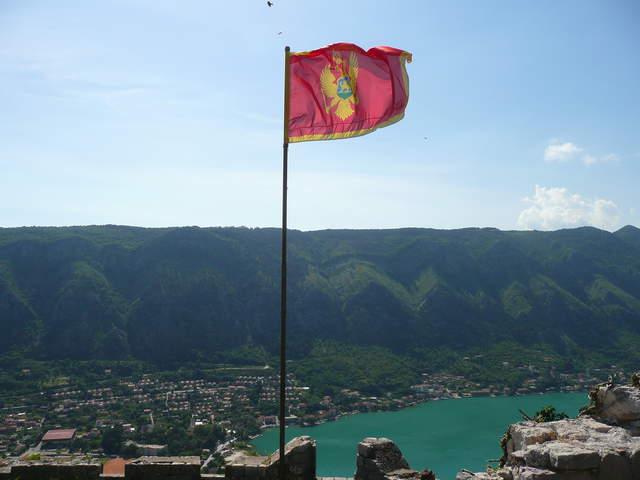 P1010431.JPG