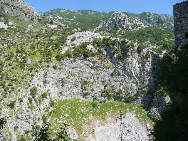 P1010437.JPG