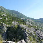 P1010442.JPG