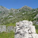 P1010454.JPG