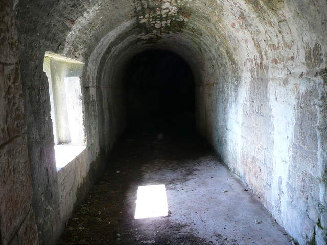 P1010460.JPG