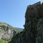 P1010469.JPG