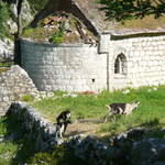 P1010472.JPG