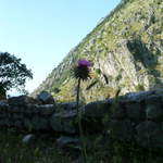 P1010484.JPG