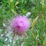 P1010486.JPG