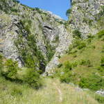 P1010487.JPG