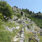 P1010415.JPG