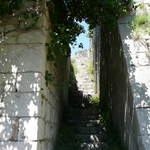 P1010420.JPG