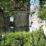 P1010421.JPG