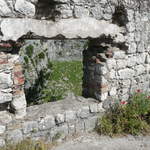 P1010428.JPG