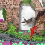 Fish2 021.jpg