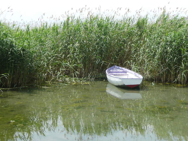 P1010540.JPG