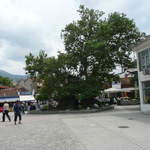 P1010541.JPG
