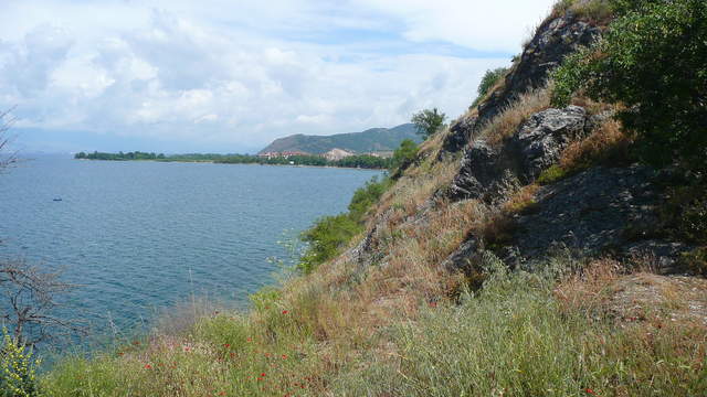 P1010556.JPG