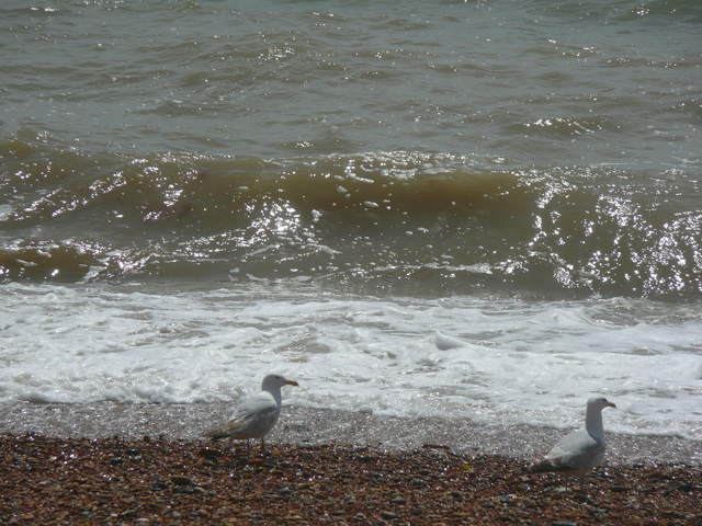 P1010820.JPG