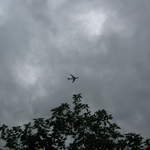 IMG_3576.JPG