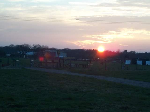 easter 042.jpg