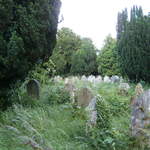 HPIM0548.JPG