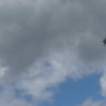 Boeing F/A-18 Super Hornet