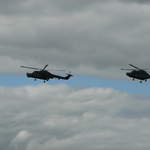 Black Cats Lynx Hellicopter Team