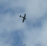 Carolyn Grace Spitfire IXT