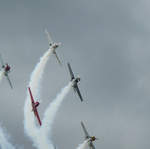Aerostars YAK-50 Team