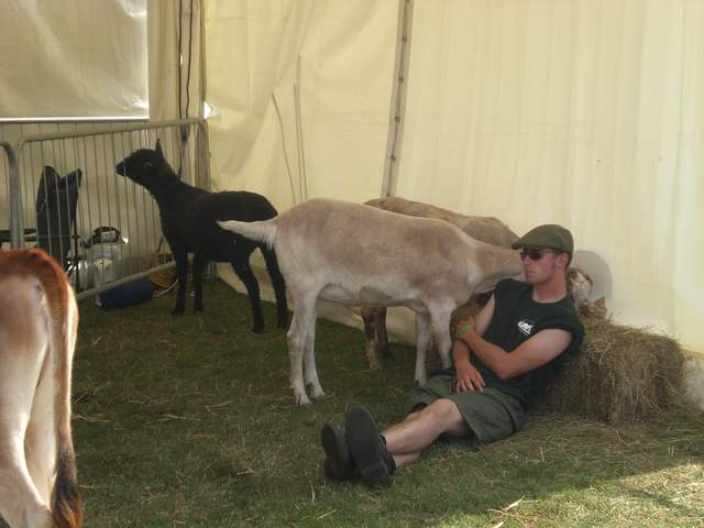 Farmer sleeping