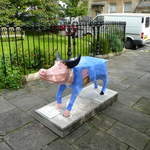 Pig in a Poke