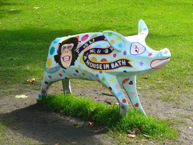 Porc au Cirque