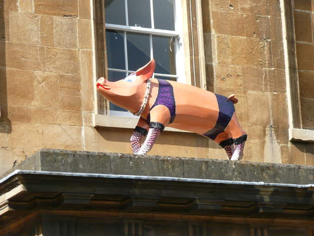 Pig in Prada
