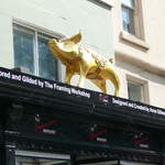 Golden Lily