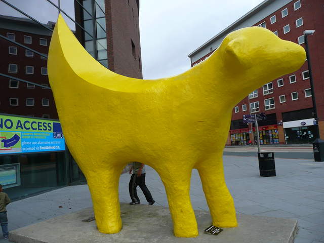 P1020469.JPG
