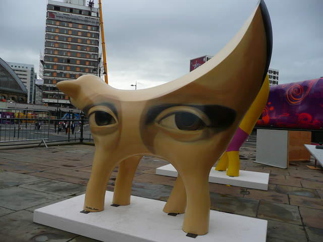 P1020571.JPG
