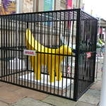 Yellow Superlambanana in a cage