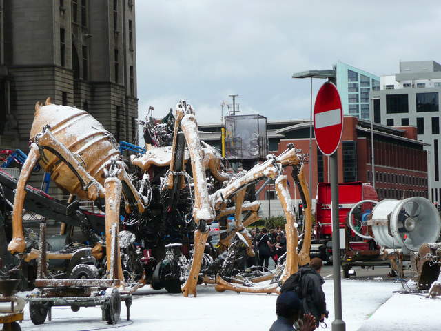 P1020334.JPG