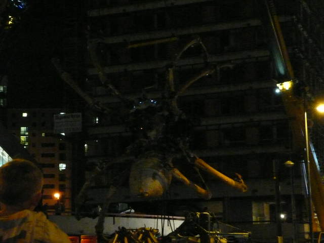 P1020412.JPG