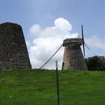 Suger cane windmills